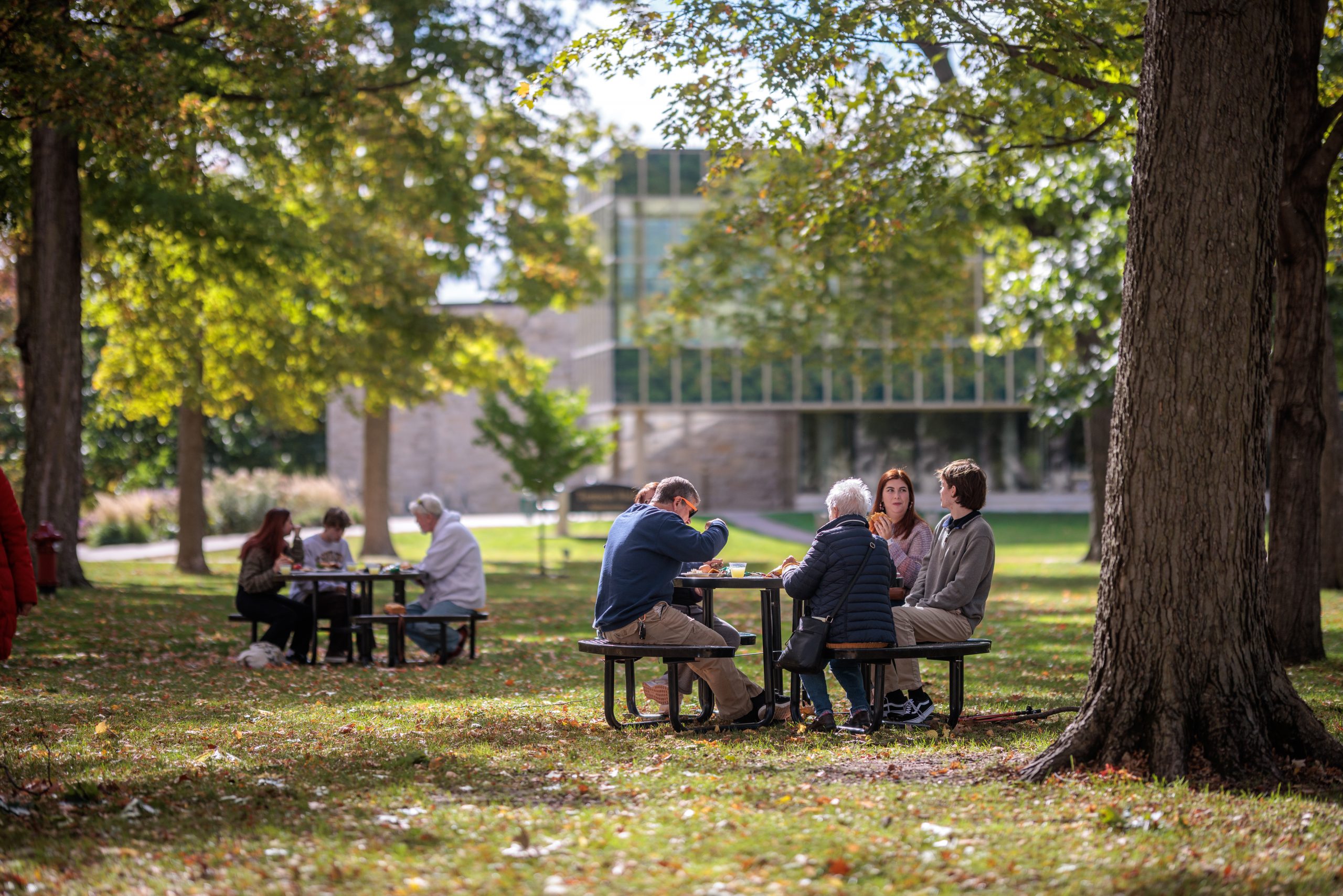 People eating outside at round picnic tables