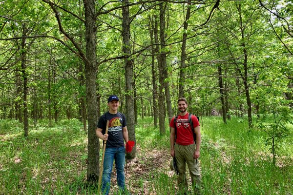 The 1990 Forest Restoration Project after 30 years in 2020 with student researchers Cully Hauck '23 (left) and Sean Meagher '21 (right).
