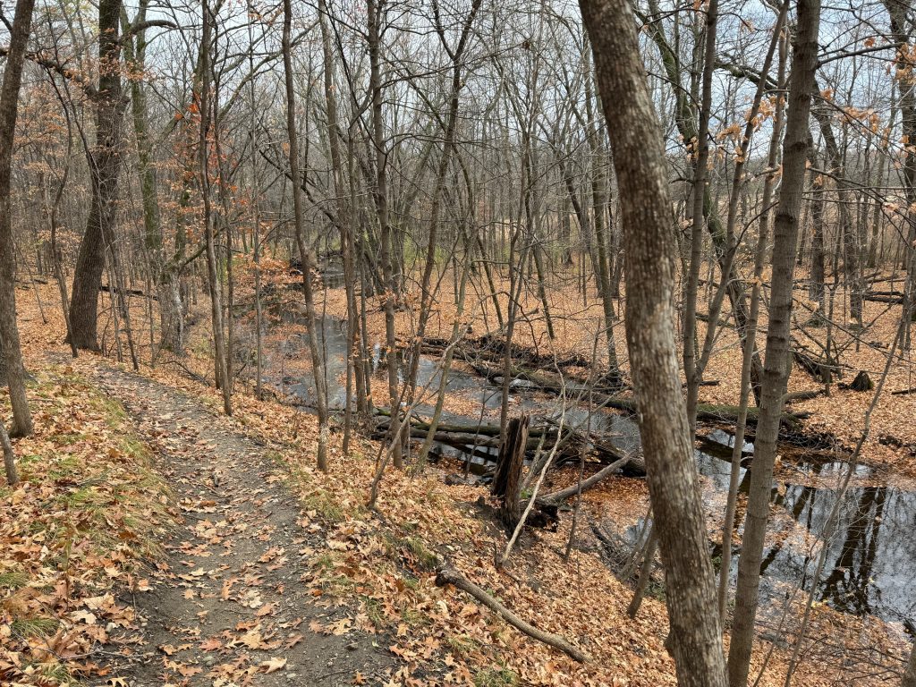 Heath Creek trail in November 2024.