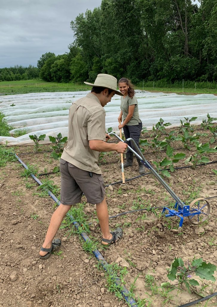 STOGROW farmers Matt Hallahan '21 and Poonam Rawat '21 working the land in the summer of 2019.